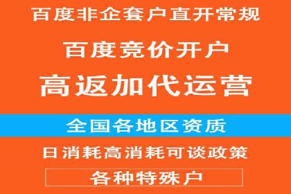 竞价SEM案例分享：行业霸主崛起之路